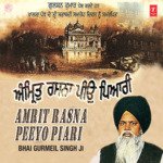 Amrit Rasna Peeyo Piari - Bhai Gurmail Singh Ji Song Download